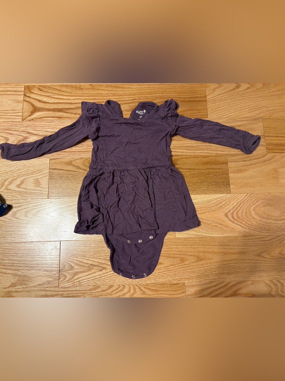 Kyte BABY Long Sleeve Purple Baby Bodysuit Dress